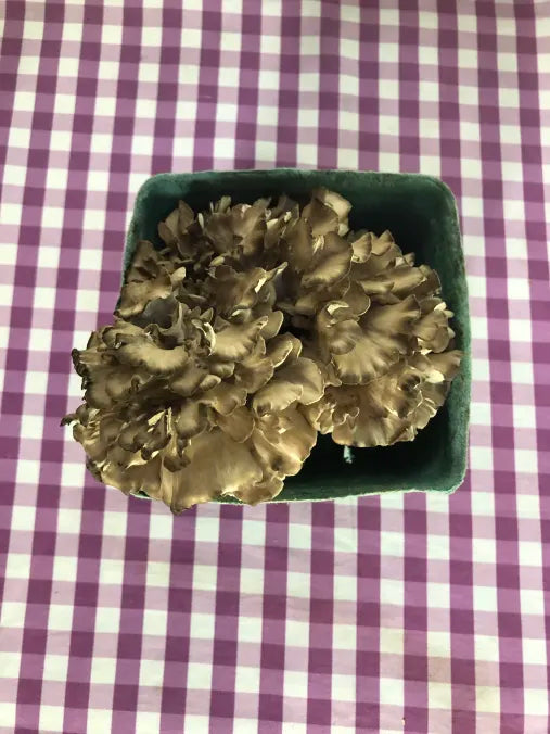 Picture of Maitake Mushrooms