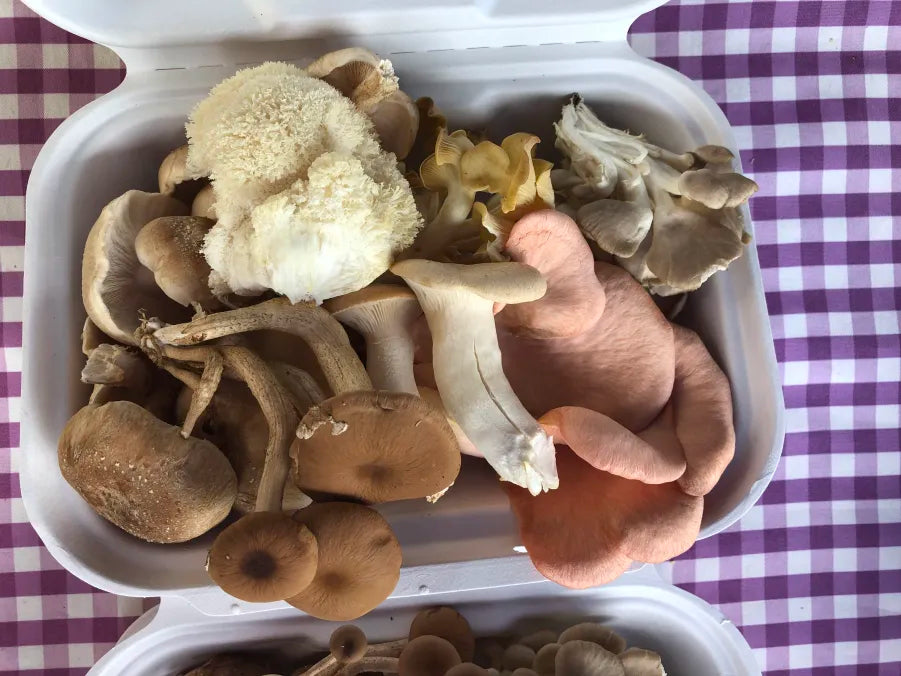 Picture of a box of Mixed Mushrooms