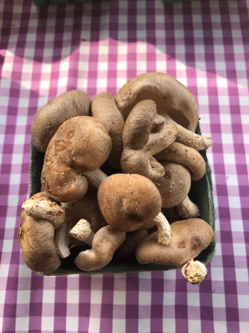 Picture of Shiitake Mushrooms